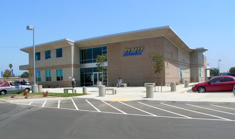 Xebec DMV